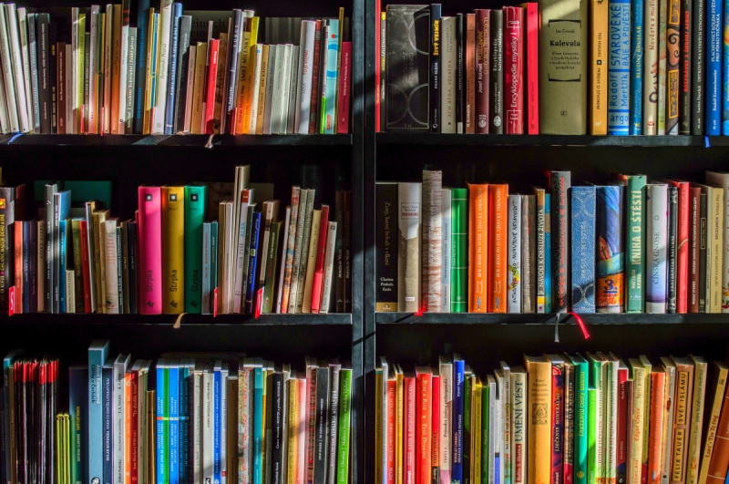 magasin-LE CASTELLET-min_books_bookstore_book_reading_shop_writer_sale_books_read-822866